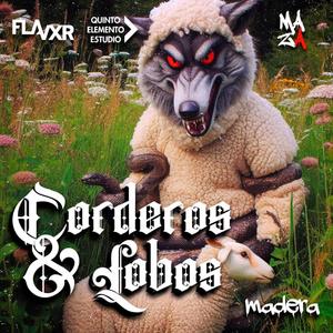 Corderos y Lobos (Explicit)