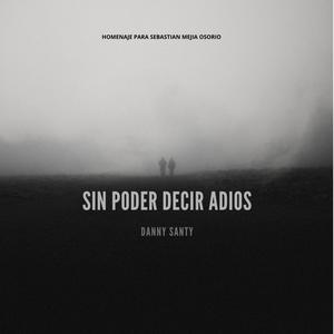 Sin poder decir adiós