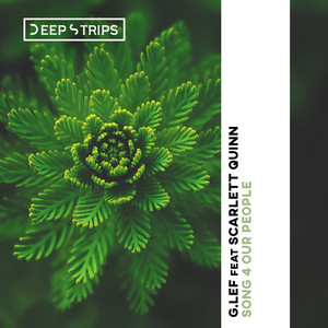 Song 4 Our People (Original Mix)