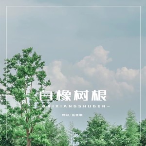 夏欧 - 白橡树根