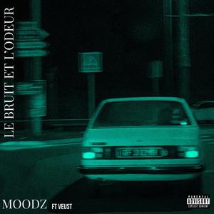 Le Bruit et l'Odeur (feat. Veust) [Explicit]