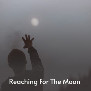 Reaching for the Moon