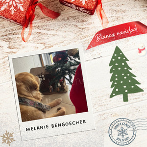 Blanca Navidad