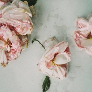 枯萎的花