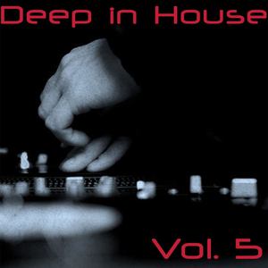 Deep in House, Vol. 5