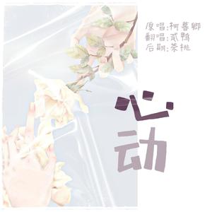 心动