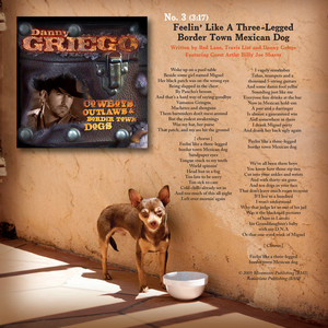 Three-Legged Border Town Dog