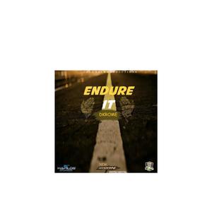 Endure it (Radio Edit)