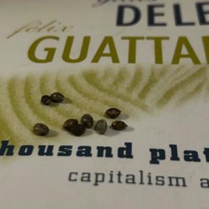 east germany (Explicit)