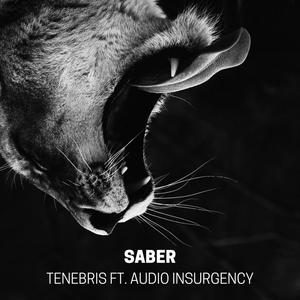 Saber(feat. Audio Insurgency)