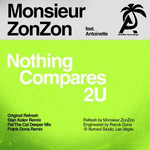 Nothing Compares 2 U (Franck Dona Remix)