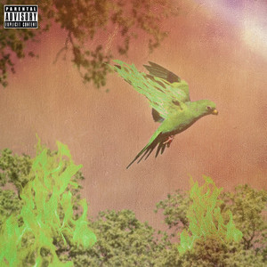 Made Her Talk Like A Parrot (Explicit)