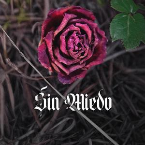 Sin Miedo (feat. David Ortiz)
