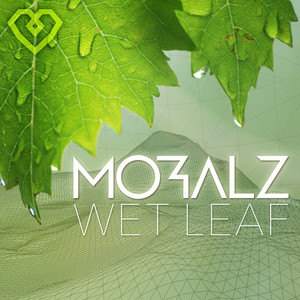 Wet Leaf