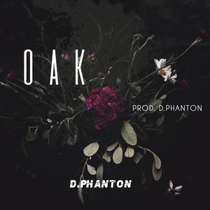 OAK (feat. ptnstudios)