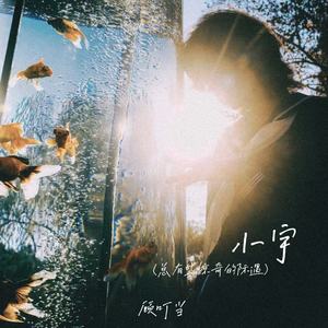 顾叮当 - 小宇(总有些惊奇的际遇)