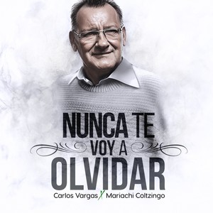 Nunca te Voy a Olvidar (Acoustic Version)