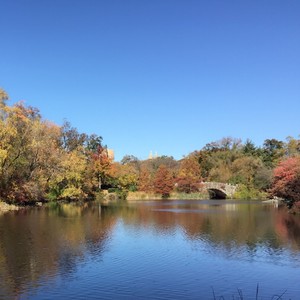 星空下的思念 (合唱版)