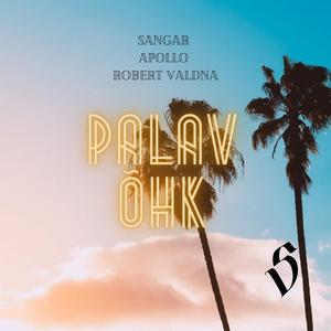 Palav Õhk(feat. Apollo & Robert Valdna)