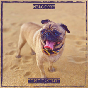 Neloopye (Explicit)