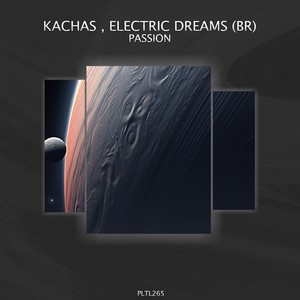 Passion (Original Mix)