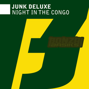 Night In The Congo