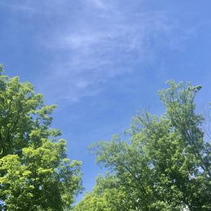 While You Were Gone (Demo)