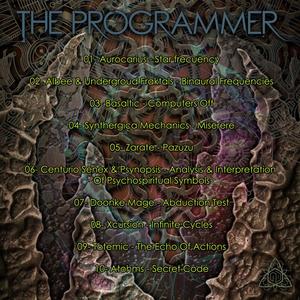 The Programmer