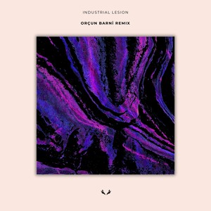 Industrial Lesion (Orçun Barni Remix)