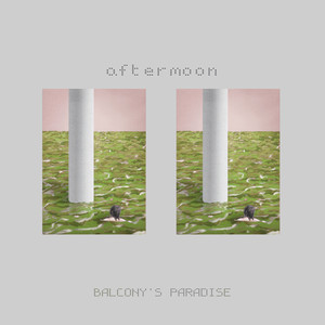 aftermoon