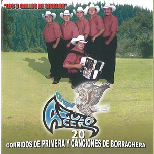 20 Corridos De Primera Y Canciones De Borrachera