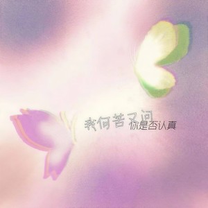 我何苦又问 (你是否认真)