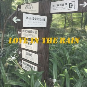 Love In The Rain
