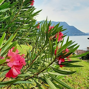 Flashback(feat. Easyman)