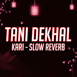 Tani Dekhi Kari Hamra Ke Kam Ji (Slow Reverb)