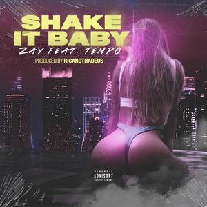 Shake It Baby (Explicit)