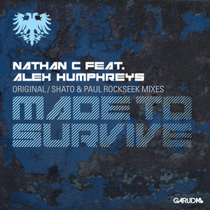 Made To Survive (Original Mix)