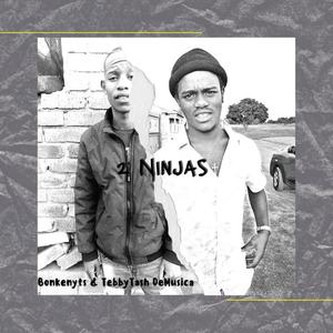 2 Ninjas (feat. TebbyTash De Musica)