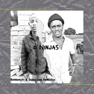 2 Ninjas(feat. TebbyTash De Musica)
