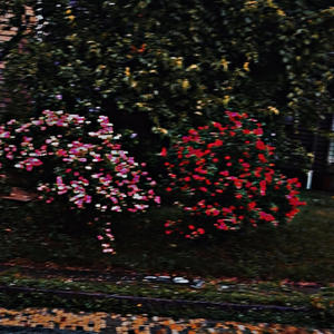 My Heart (feat. Demon love|Explicit)