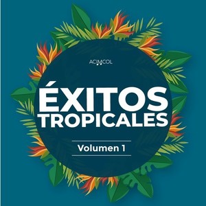 Éxitos Tropicales, Vol. 1