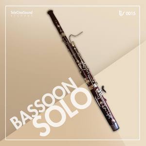 Bassoon Solo