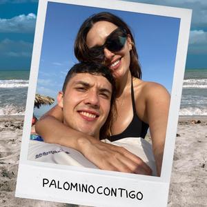 PALOMINO CONTIGO