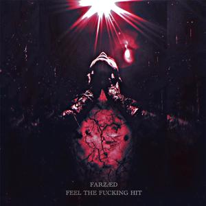 FEEL THE ******* HIT (Explicit)