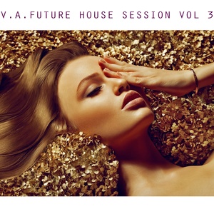 V.A. Future House Session, Vol. 3