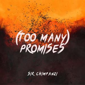 (Too Many) Promises