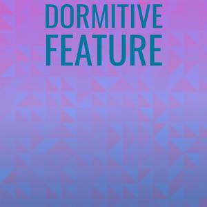 Dormitive Feature