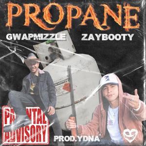 Propane (feat. Zaybooty) (Explicit)