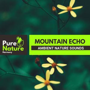 Mountain Echo - Ambient Nature Sounds