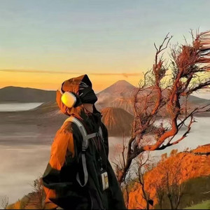 海屿你(我不知为何对你疯狂执着)-薄荷巧克力